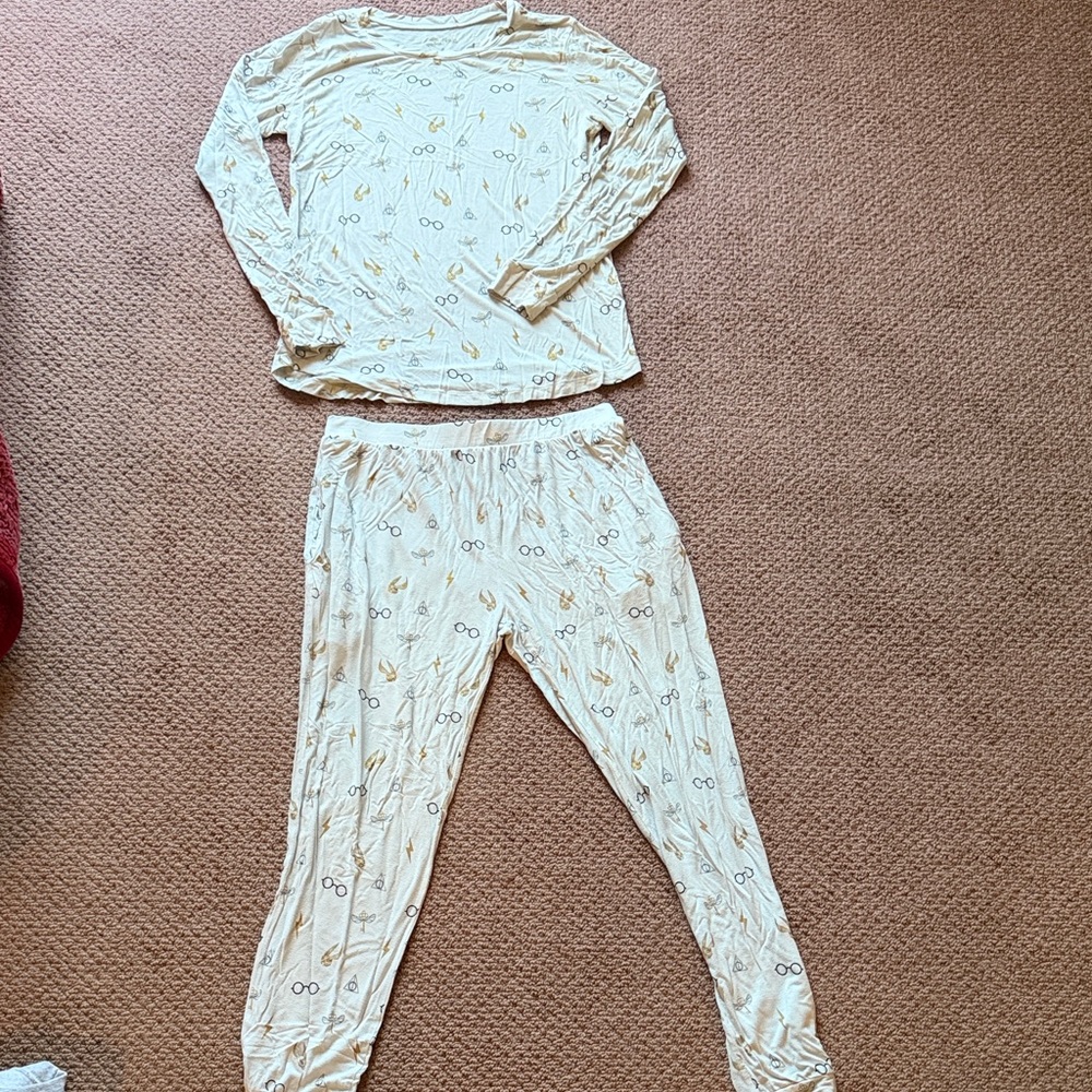 Women’s Harry Potter Kyte Brand pajama set - Flight pattern